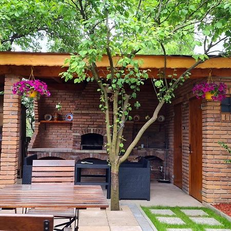 Cozy House With Nice Garden In Heart Of City Center Villa Kaloşvar Dış mekan fotoğraf
